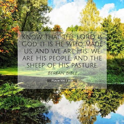 Picture 07 - Psalm 100:3 BSB - Know that the LORD is God. It is He who made us, - Bible Verse Picture