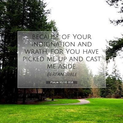 Picture 07 - Psalm 102:10 BSB - because of Your indignation and wrath, for You - Bible Verse Picture
