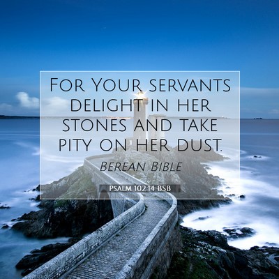 Picture 07 - Psalm 102:14 BSB - For Your servants delight in her stones and take - Bible Verse Picture