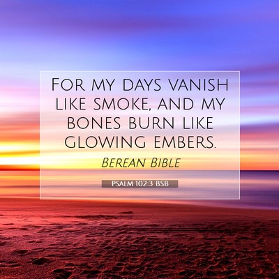 Picture 07 - Psalm 102:3 BSB - For my days vanish like smoke, and my bones burn - Bible Verse Picture
