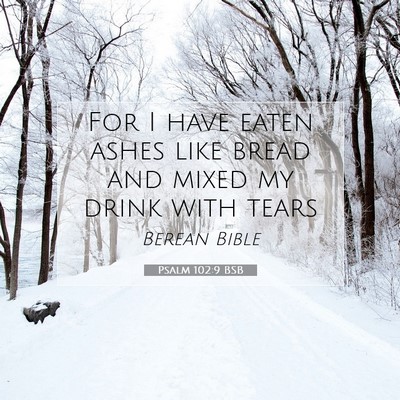 Picture 07 - Psalm 102:9 BSB - For I have eaten ashes like bread and mixed my - Bible Verse Picture