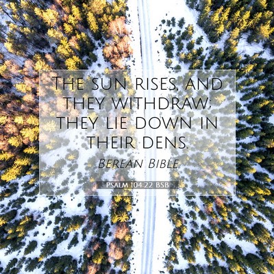 Picture 07 - Psalm 104:22 BSB - The sun rises, and they withdraw; they lie down - Bible Verse Picture