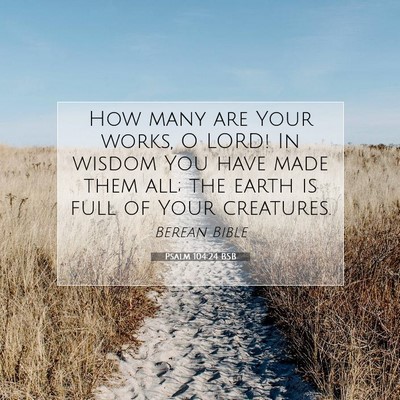 Picture 07 - Psalm 104:24 BSB - How many are Your works, O LORD! In wisdom You - Bible Verse Picture