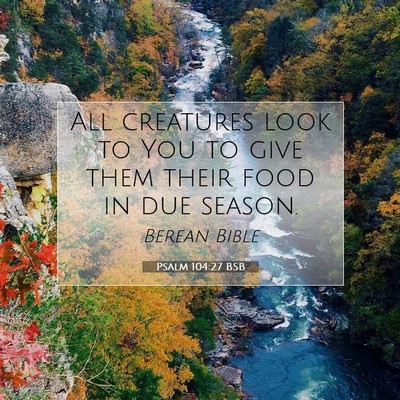 Picture 07 - Psalm 104:27 BSB - All creatures look to You to give them their food - Bible Verse Picture