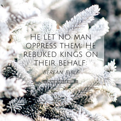 Picture 07 - Psalm 105:14 BSB - He let no man oppress them; He rebuked kings on - Bible Verse Picture