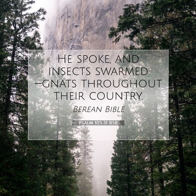 Picture 07 - Psalm 105:31 BSB - He spoke, and insects swarmed—gnats throughout - Bible Verse Picture