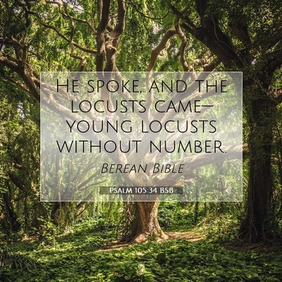 Picture 07 - Psalm 105:34 BSB - He spoke, and the locusts came—young locusts - Bible Verse Picture