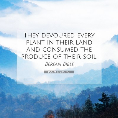 Picture 07 - Psalm 105:35 BSB - They devoured every plant in their land and - Bible Verse Picture