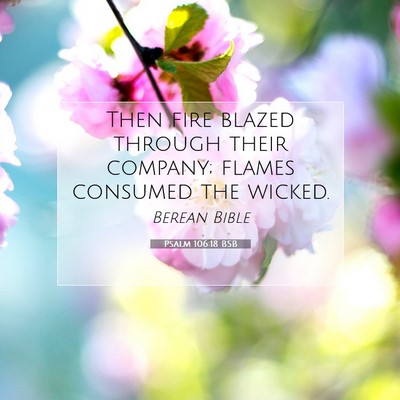 Picture 07 - Psalm 106:18 BSB - Then fire blazed through their company; flames - Bible Verse Picture