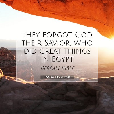 Picture 07 - Psalm 106:21 BSB - They forgot God their Savior, who did great - Bible Verse Picture