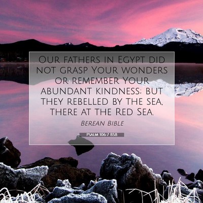 Picture 07 - Psalm 106:7 BSB - Our fathers in Egypt did not grasp Your wonders - Bible Verse Picture