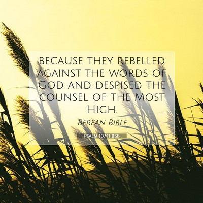 Picture 07 - Psalm 107:11 BSB - because they rebelled against the words of God - Bible Verse Picture
