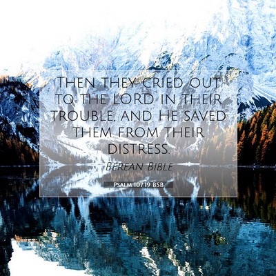 Picture 07 - Psalm 107:19 BSB - Then they cried out to the LORD in their trouble, - Bible Verse Picture