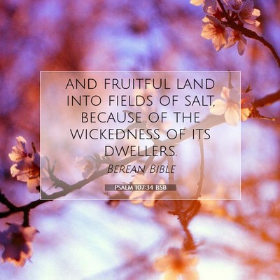 Picture 07 - Psalm 107:34 BSB - and fruitful land into fields of salt, because of - Bible Verse Picture