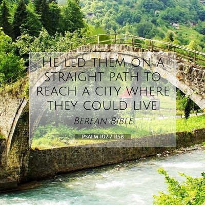 Picture 07 - Psalm 107:7 BSB - He led them on a straight path to reach a city - Bible Verse Picture