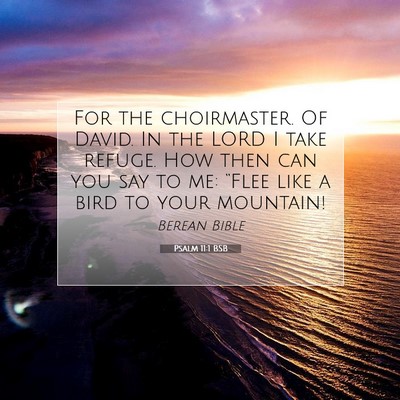Picture 07 - Psalm 11:1 BSB - For the choirmaster. Of David. In the LORD I take - Bible Verse Picture