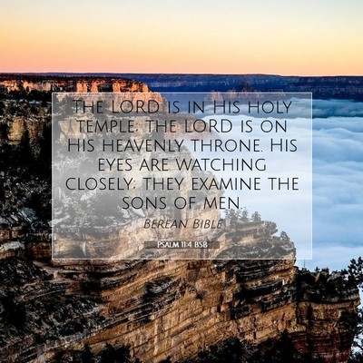 Picture 07 - Psalm 11:4 BSB - The LORD is in His holy temple; the LORD is on - Bible Verse Picture