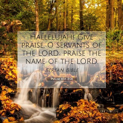 Picture 07 - Psalm 113:1 BSB - Hallelujah! Give praise, O servants of the LORD; - Bible Verse Picture