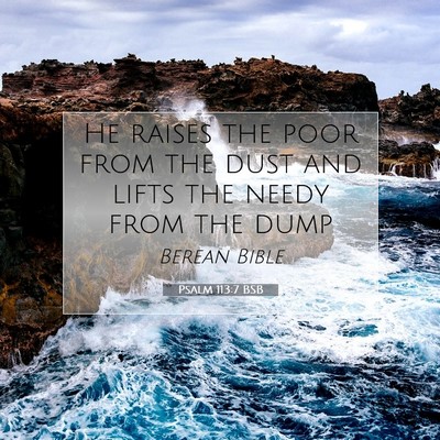 Picture 07 - Psalm 113:7 BSB - He raises the poor from the dust and lifts the - Bible Verse Picture