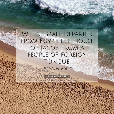 Picture 07 - Psalm 114:1 BSB - When Israel departed from Egypt, the house of - Bible Verse Picture