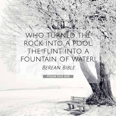 Picture 07 - Psalm 114:8 BSB - who turned the rock into a pool, the flint into a - Bible Verse Picture