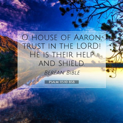 Picture 07 - Psalm 115:10 BSB - O house of Aaron, trust in the LORD! He is their - Bible Verse Picture