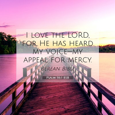 Picture 07 - Psalm 116:1 BSB - I love the LORD, for He has heard my voice—my - Bible Verse Picture