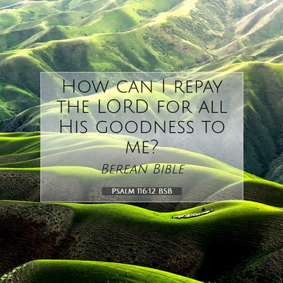 Picture 07 - Psalm 116:12 BSB - How can I repay the LORD for all His goodness to - Bible Verse Picture