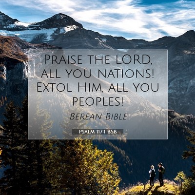 Picture 07 - Psalm 117:1 BSB - Praise the LORD, all you nations! Extol Him, all - Bible Verse Picture