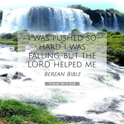 Picture 07 - Psalm 118:13 BSB - I was pushed so hard I was falling, but the LORD - Bible Verse Picture