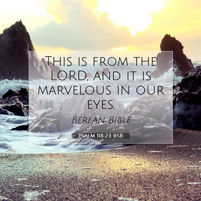 Picture 07 - Psalm 118:23 BSB - This is from the LORD, and it is marvelous in our - Bible Verse Picture