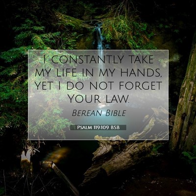 Picture 07 - Psalm 119:109 BSB - I constantly take my life in my hands, yet I do - Bible Verse Picture