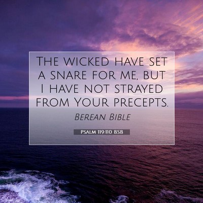 Picture 07 - Psalm 119:110 BSB - The wicked have set a snare for me, but I have - Bible Verse Picture