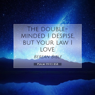 Picture 07 - Psalm 119:113 BSB - The double-minded I despise, but Your law I - Bible Verse Picture