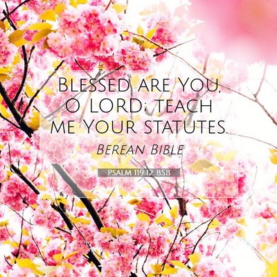 Picture 07 - Psalm 119:12 BSB - Blessed are You, O LORD; teach me Your - Bible Verse Picture
