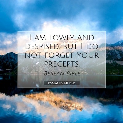 Picture 07 - Psalm 119:141 BSB - I am lowly and despised, but I do not forget Your - Bible Verse Picture