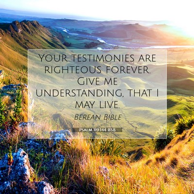 Picture 07 - Psalm 119:144 BSB - Your testimonies are righteous forever. Give me - Bible Verse Picture