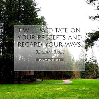 Picture 07 - Psalm 119:15 BSB - I will meditate on Your precepts and regard Your - Bible Verse Picture