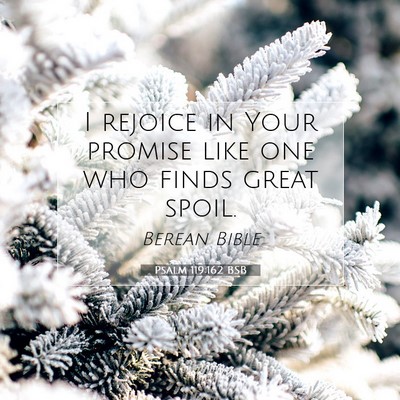 Picture 07 - Psalm 119:162 BSB - I rejoice in Your promise like one who finds - Bible Verse Picture