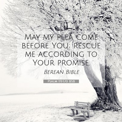 Picture 07 - Psalm 119:170 BSB - May my plea come before You; rescue me according - Bible Verse Picture