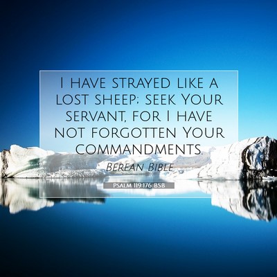 Picture 07 - Psalm 119:176 BSB - I have strayed like a lost sheep; seek Your - Bible Verse Picture