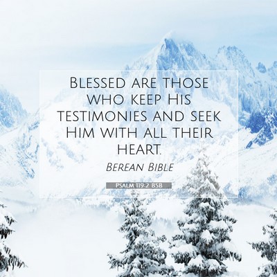 Picture 07 - Psalm 119:2 BSB - Blessed are those who keep His testimonies and - Bible Verse Picture