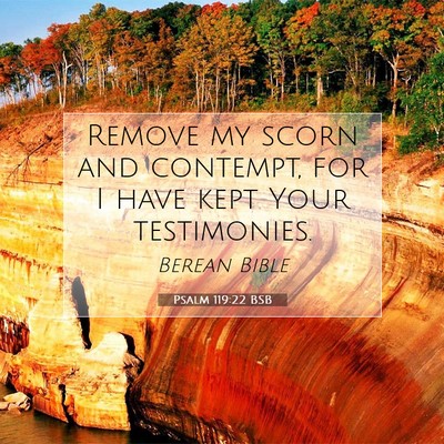 Picture 07 - Psalm 119:22 BSB - Remove my scorn and contempt, for I have kept - Bible Verse Picture