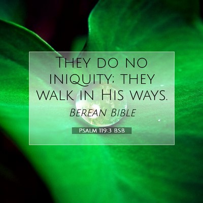 Picture 07 - Psalm 119:3 BSB - They do no iniquity; they walk in His - Bible Verse Picture