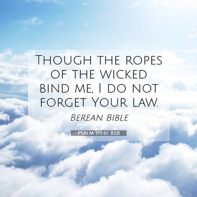 Picture 07 - Psalm 119:61 BSB - Though the ropes of the wicked bind me, I do not - Bible Verse Picture