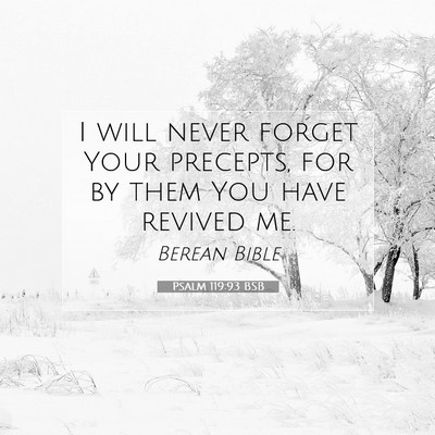 Picture 07 - Psalm 119:93 BSB - I will never forget Your precepts, for by them - Bible Verse Picture