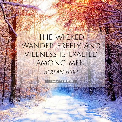 Picture 07 - Psalm 12:8 BSB - The wicked wander freely, and vileness is exalted - Bible Verse Picture