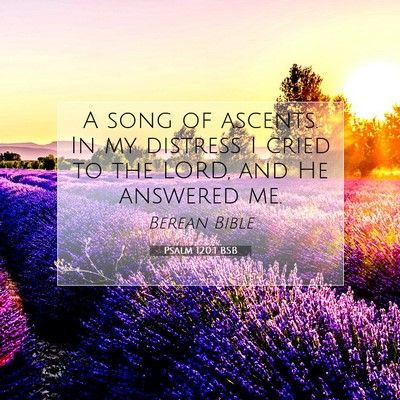 Picture 07 - Psalm 120:1 BSB - A song of ascents. In my distress I cried to the - Bible Verse Picture