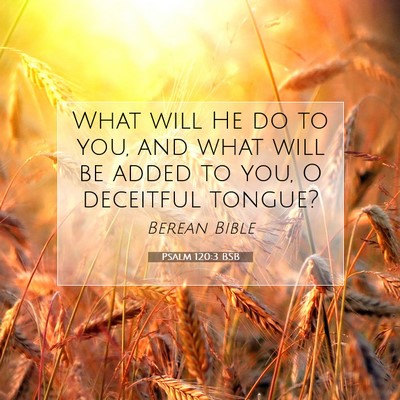 Picture 07 - Psalm 120:3 BSB - What will He do to you, and what will be added to - Bible Verse Picture