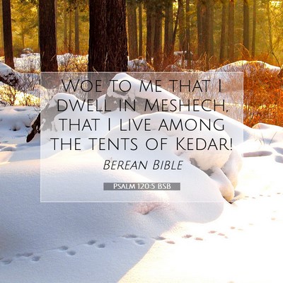 Picture 07 - Psalm 120:5 BSB - Woe to me that I dwell in Meshech, that I live - Bible Verse Picture